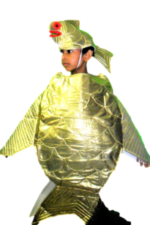 Fancy Dress Gold Fish Costume for Kids - Water Animal