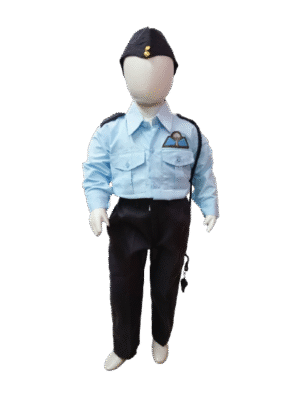Brave Indian Air Force Pilot / Officer Costume for Kids - Patriotic Fancy Dress Uniform