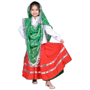 Experience the Vibrancy of India: Haryanvi Girl
