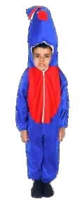 Bird Fancy Dress Peacock Costume for Kids - Bird & Insect