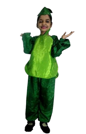 Fancy Dress Pear Costume for Kids - Fruit
