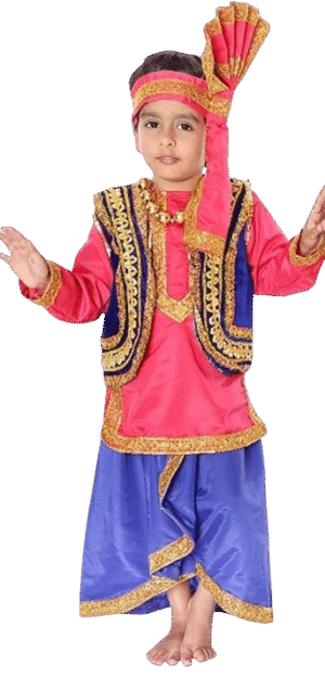 Experience the Vibrancy of India: Punjabi Boy