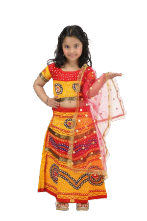 Experience the Vibrancy of India: Gujrati Girl