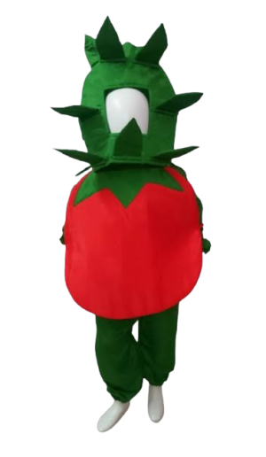 Fancy Dress Tomato Costume for Kids - Vegitable