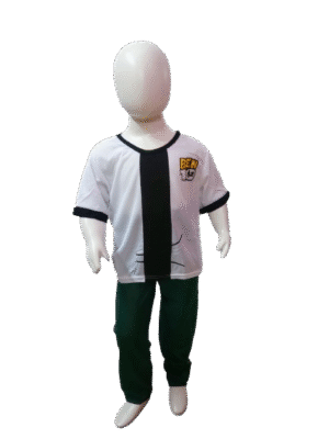 Ben 10 Cartoon Costume for Kids - Alien Adventure Fancy Dress!