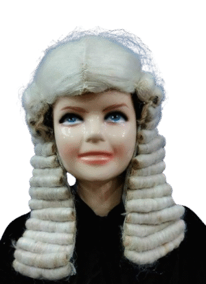 Fun & Easy Fancy Dress Wigs! - British Judge
