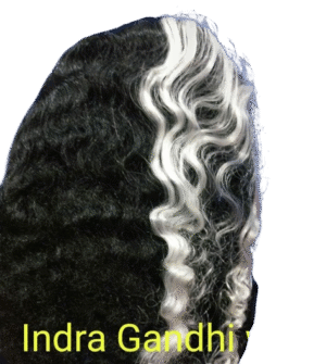 Fun & Easy Fancy Dress Wigs! - Indra Gandhi