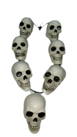 Authentic Skull Prop : Mundmala for Jhanki - 04