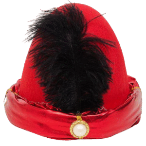 The Majestic Mughal Topi