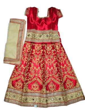 Exquisite Radha/Devi Lehenga Set - 03